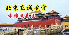 日韩美女叉B视频中国北京-东城古宫旅游风景区